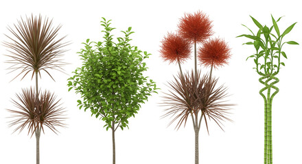 Obraz premium Collection of assorted potted indoor and outdoor plants and trees for home and garden decor