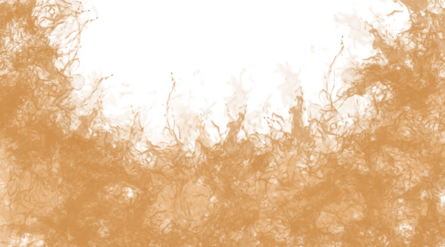 Abstract pattern with earthy orange-brown texture and contrasting black space, creating a natural fee