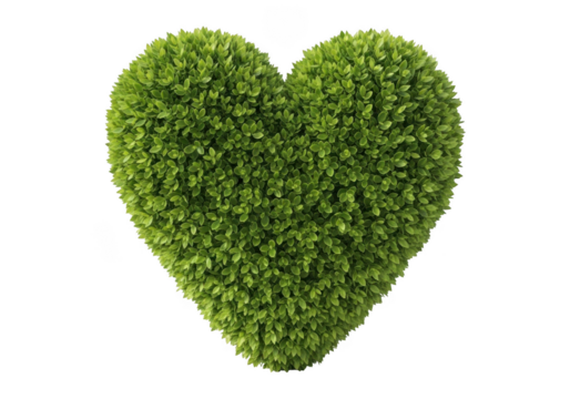 Green heart made of leaves isolated on transparent background