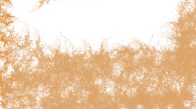 Abstract organic texture resembling tangled roots or fibers, with earthy tones and irregular edge patterns