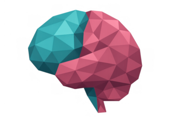 Human brain low poly illustration showing two contrasting hemispheres for concept of intelligence, mind, and data processing