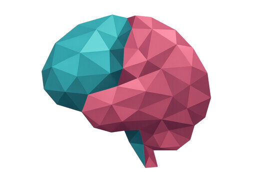 Human brain low poly illustration showing two contrasting hemispheres for concept of intelligence, mind, and data processing