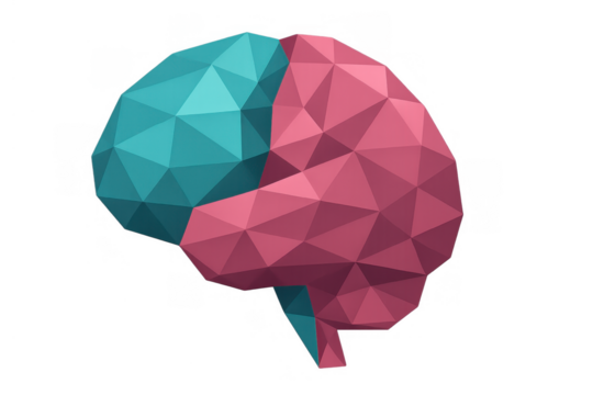 Human brain low poly illustration showing two contrasting hemispheres for concept of intelligence, mind, and data processing