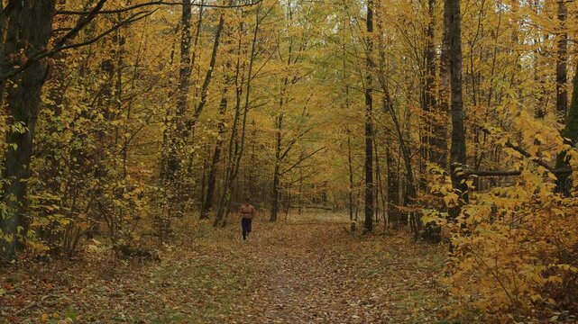 Shirtless bodybuilder with heart rate monitor on his chest runs along path in an autumn forest during leaf fall.