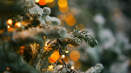 A twinkling New Year's tree in a cozy, decorated room on Christmas Eve.
Celebrating Christmas and the winter holidays.
A decorated tree in a brightly lit home.