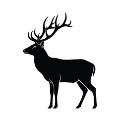 Vector file placeholder graphic representation digital asset