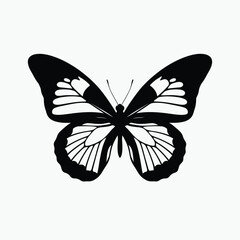 Vector file concept for digital design and graphic illustration