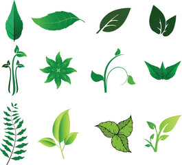 Diverse Collection of Green Leaf and Botanical Elements