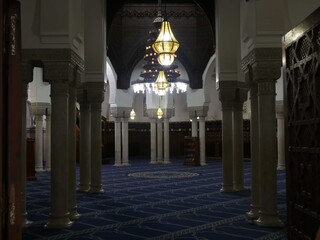 Paris, November 2025 : Visit of the magnificent city of Paris, Capital of France - Visit to the Grand Mosque of Paris, built to commemorate Muslims who died for France