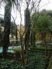 Paris, November 2025 : Visit of the magnificent city of Paris, Capital of France - Visit to the Grand Mosque of Paris, built to commemorate Muslims who died for France