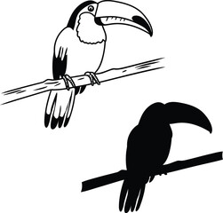 Fototapeta premium toucan cartoon vector illustration 