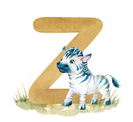 English brown letter Z and cartoon zebra on green lawn, hand-drawn watercolor illustration isolated on white. Children's clip art of striped horse for learning, games, animal alphabet design for kids