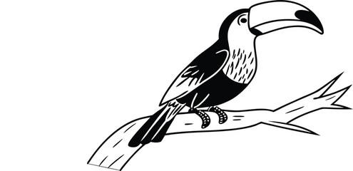 Fototapeta premium colorful toucan vector illustration 