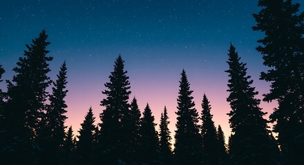 Magical night sky with stars and silhouettes of pine trees landscape