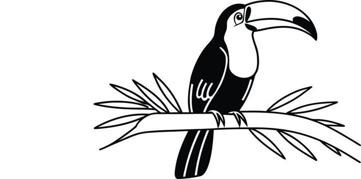 toucan bird logo vector illustration
