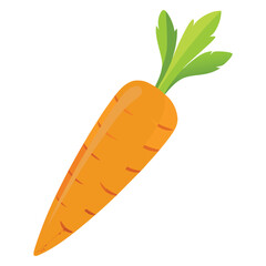 Orange carrot vector illustration, fresh healthy vegetable food isolated on white background with leaf