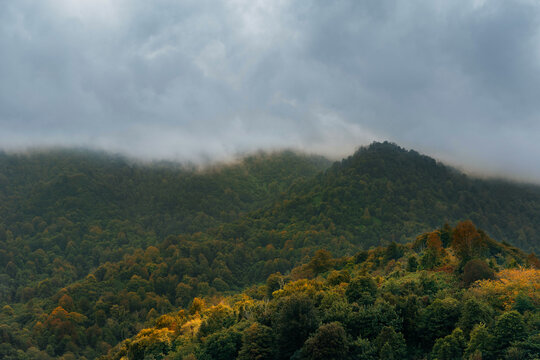 Misty Green Mountain Hills with Storm Clouds. Layers of lush green forested hills rise into low clouds under a dramatic gray sky.