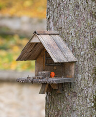 wooden bird house