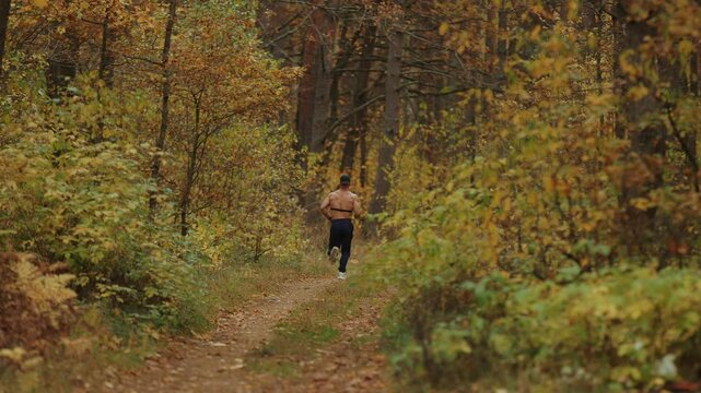 Young man wearing cap training in an autumn forest and running along path covered in fallen yellow leaves with chest heart rate monitor. Back view. Concept for improving fitness and endurance