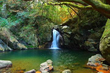 仙厳の滝　静岡県浜松市