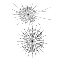 Obraz premium Spider web line art vector