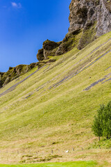 Sheep graze along a steep green slope in Southern Iceland where rock veins and a lone tree bask in afternoon light