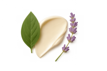 Cream or lotion swatch with lavender flower and green leaf for natural cosmetic, beauty, and skincare concept, transparent background