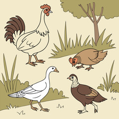 Closeup shot of a hen sitting on the grass with its chicken