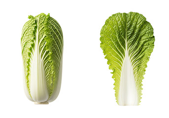Closeup of napa cabbage and a single leaf isolated on transparent background