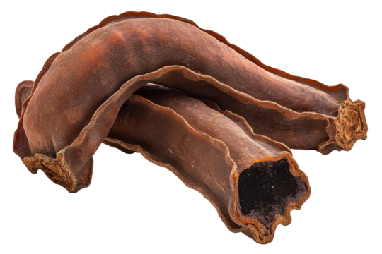 Two ripe Tamarind fruits with a peeled husk revealing the dark pulp isolated on a pure white background for stock usage