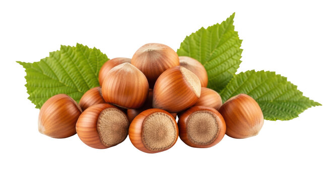Pile of hazelnuts with green leaves PNG isolated on transparent background, healthy snack food ingredient for culinary use