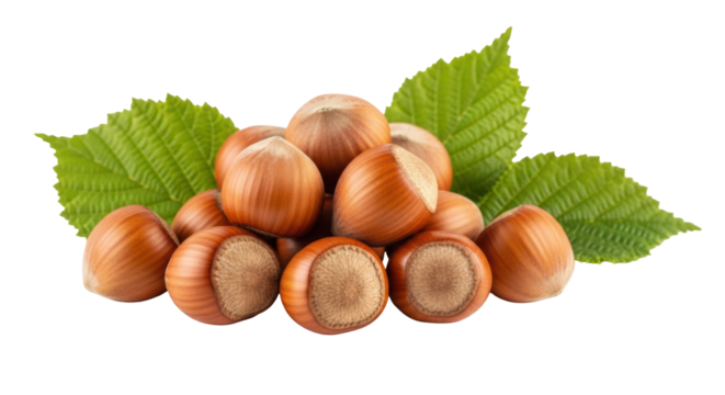 Pile of hazelnuts with green leaves PNG isolated on transparent background, healthy snack food ingredient for culinary use