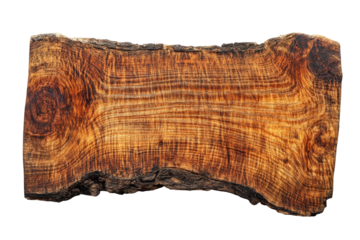 Rough cut section of tree trunk with bark showing grain and texture in warm brown color on isolated white background