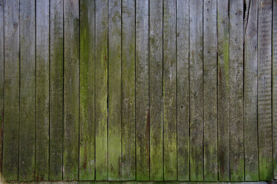 old board wall surface, greenish-gray surface, background
