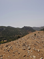 A sunlit mountain ridge cloaked in oak trees rises beside an open expanse of empty land scattered with small rocks. while the bare foreground textured stones and gentle slopes create a balanced