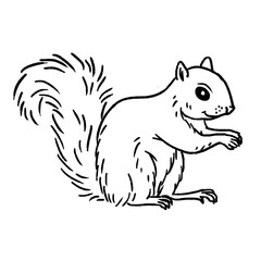 Line art squirrel illustration