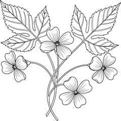 Botanical line drawing illustration, black and white floral cluster with leaves, symmetrical contour sketch, nature design vector art