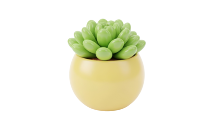 Succulent plant in yellow pot isolated PNG, decorative houseplant with green leaves for interior design and botanical themes