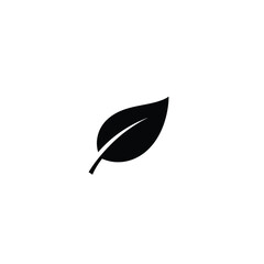 Black leaf silhouette on white background nature