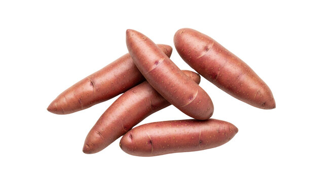 Red fingerling potatoes isolated PNG, raw whole tubers on transparent background for healthy eating and gourmet cooking