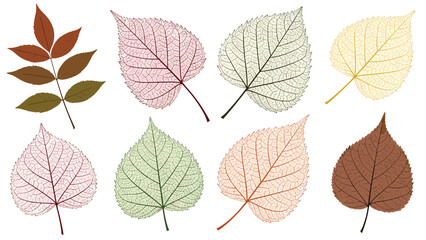 Vibrant autumn leaves in various colors, a beautiful botanical design for fall decor or autumnal crafts, perfect for backgrounds and patterns