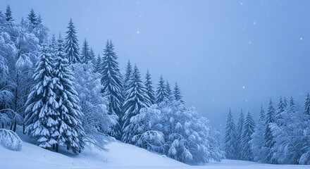 Fototapeta premium Snow-covered fir trees in a tranquil, snowy landscape, representing winter, calmness, and the beauty of nature, suitable for serene concepts