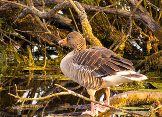 Ecopark Kołobrzeg © lech