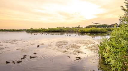 Ecopark Kołobrzeg © lech