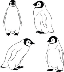 Naklejka premium Set of baby emperor penguin chicks in various poses, hand-drawn vector outline illustration depicting wildlife and polar animals.