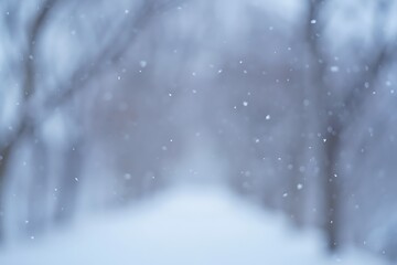 Soft snowfall on a blurry winter path through trees