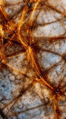 Interconnected Abstract Network: An intricate network of radiant orange lines weaves across a textured backdrop, representing complex connections and data flow.