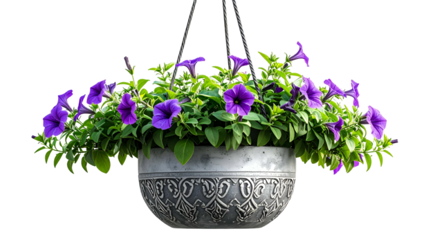 A hanging silver basket overflowing with vibrant purple petunias and lush green foliage