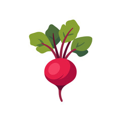 Red beetroot root vegetable with leaves, isolated flat style vector illustration
