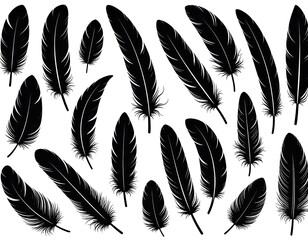 Collection of digitally drawn black feathers scattered on a white background, various sizes and angles